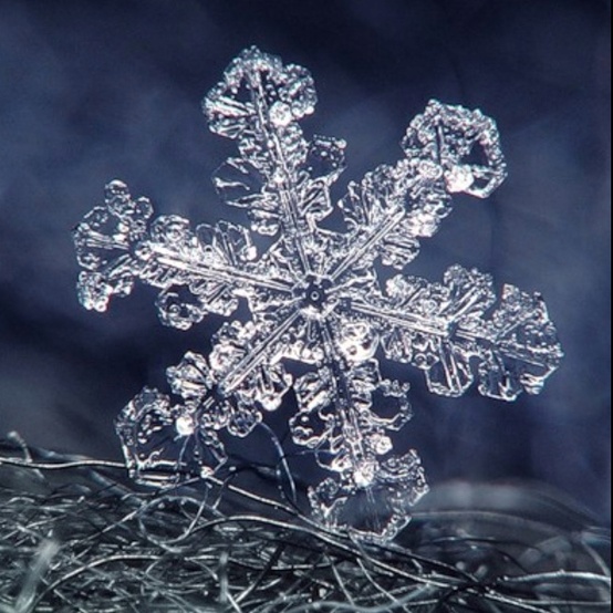 Photo:  Snowflakes 11